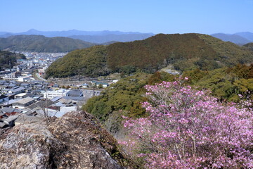 物見岩から佐川の町を眺める　春　（高知県　牧野公園）
