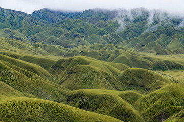 The Dzukou valley is located at the border of the Indian states of Nagaland and Manipur.This valley is well known for its natural environment, seasonal flowers and flora and fauna. © Rahul
