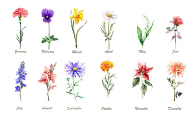 set of flowers for each month of the year on a transparent background, Generative AI.