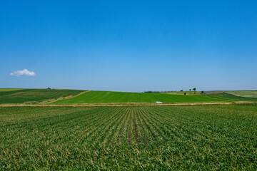 Paysage rural : des champs traversés par une route de campagne