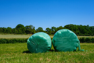Ballots de paille emballés dans du plastique vert