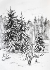 winter landscape with spruces - 761318725