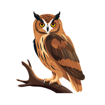 A wise owl illustration ideal for owl lovers and bi