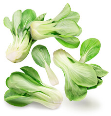 Bok choy or chinese cabbage flying in air on white background. - obrazy, fototapety, plakaty
