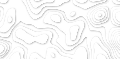 Abstract geometric layered curve line white background. 3d render, paper cut vector art background banner texture. multi layer cutout geometric patterns with smooth wavy layer. white background.   