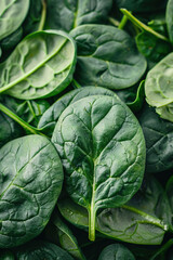 Obraz premium super Ultra closeup macro of spinach