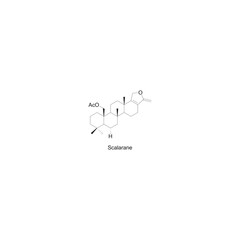 Scalarane skeletal structure diagram.Sesterterpene compound molecule scientific illustration on white background.