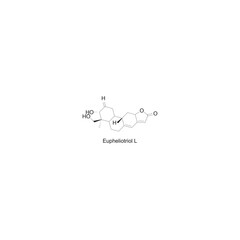 Eupheliotriol L skeletal structure diagram.Diterpenoid compound molecule scientific illustration on white background.