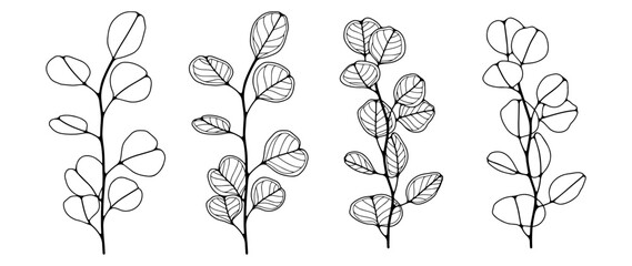 Black and white hand drawn illustration with eucalyptus branches. Black outline of eucalyptus on white background - obrazy, fototapety, plakaty