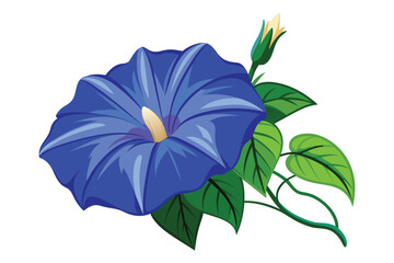 Blue morning glory flower flat vector illustration