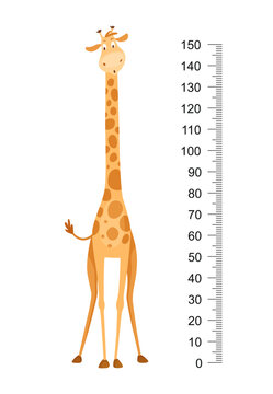 Funny giraffe. Cheerful funny giraffe with long neck. Giraffe meter wall or height chart or wall sticker. Illustration with scale from 0 to 150 centimeter to measure growth