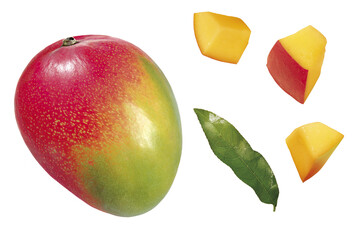 Mango, Stücke