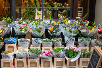 Colourful flower packages at the flower market in the Netherlands. 