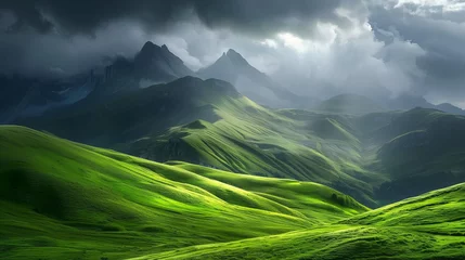 Photo sur Aluminium Alpes french alps with green grassy hills and mountains in the background
