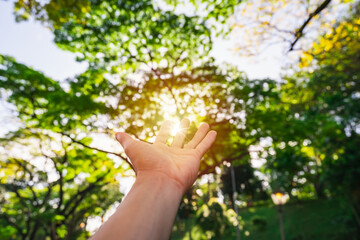 Fototapeta na wymiar Young man's hand reaching for the sunrise above the trees in the morning