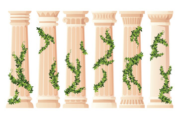 Ancient ivy covered column set. Museum and exhibition. Cartoon greek or roman pillars with climbing ivy branches. Antique foliage decorated element. Cartoon flat vector isolated on white.