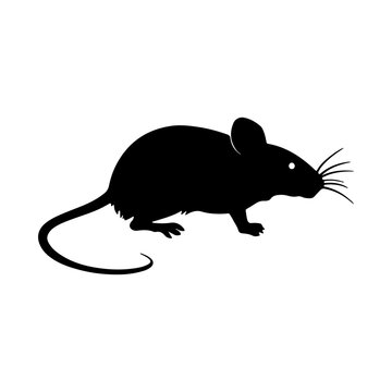 recommend clip art: silhouette of a mouse side view 