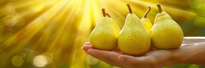 Hand holding fresh pear, pear selection on blurred background with space for text placement