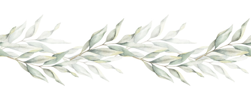 Green branches with leaves. Hand drawn watercolor seamless border of Twigs. Summer floral banner for wedding design, textiles, wrapping paper, scrapbooking