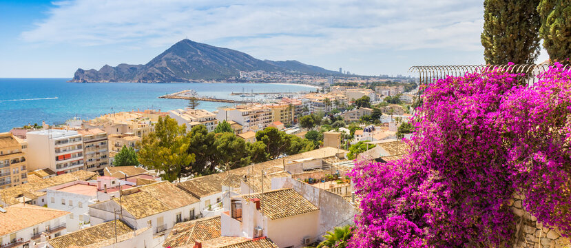 Panorama of purple flowers on top of the hill overlooking the bay in Altea, Spain