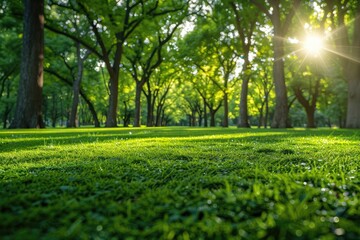 Obraz premium Bright spring greenery nature professional photography