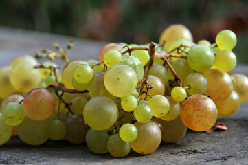 Bunch of grapes on the table