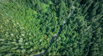 Foto auf Alu-Dibond Aerial view of beautiful high altitude forest  mountain landscape © lzf