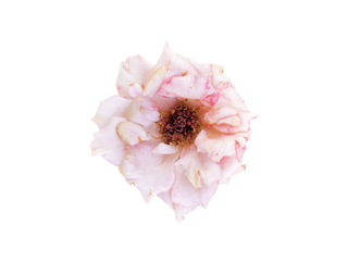 Small cardboard boxes, transparent background