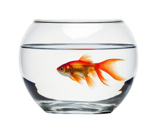 A goldfish is swimming in a clear glass bowl. The bowl is almost empty, with only a small amount of water left. The fish appears to be the only living creature in the bowl