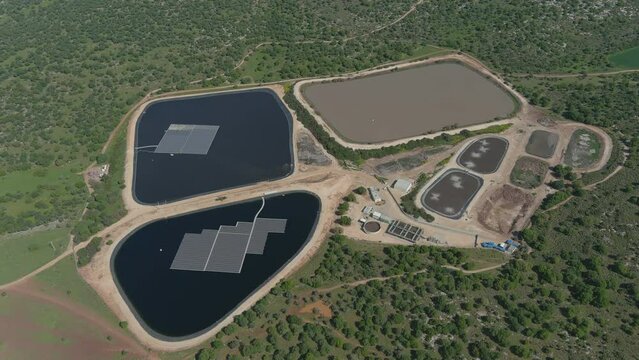 Fish Pools at Ma'ayanot Vally Israel
