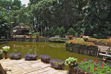 Wonderful quiet pond in the tropical park