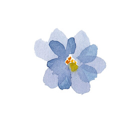 Watercolor blue flower isolated