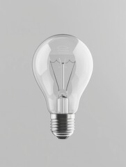 Light bulb is shown in very clear and bright way