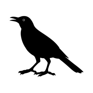 recommend clip art: black silhouette of a mockingbird side view