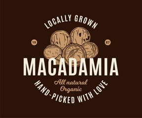 Vector macadamia logo