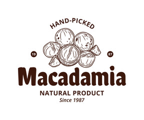 Vector macadamia logo