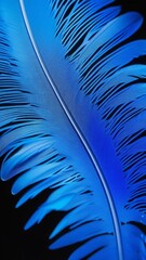 blue feather background