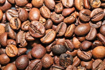 a photo of dry coffee beans background