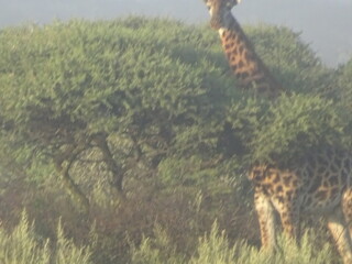 pictures from all over the world 