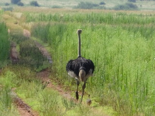 pictures from all over the world 