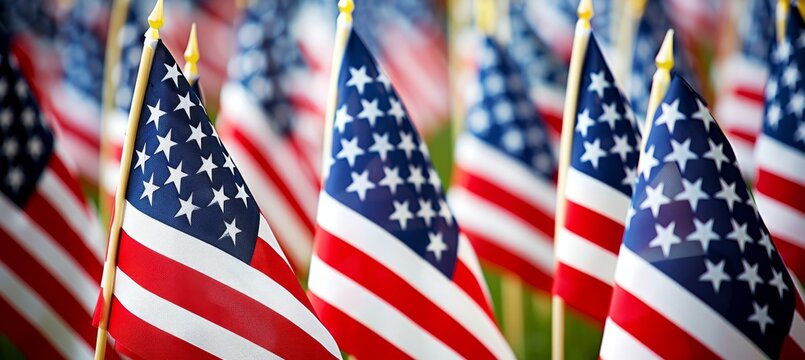 Honoring american veterans on memorial day with american flags at national cemetery