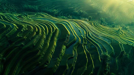 Foto auf Acrylglas Reisfelder Dawn Over Terraced Fields