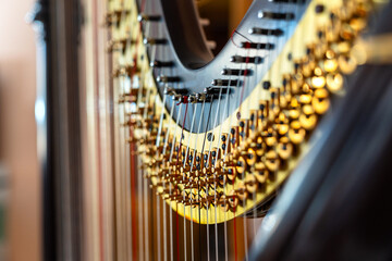 Fragment of a harp on stage closeup