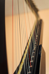 Close-up of the strings of a modern electronic harp.
