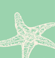 Outline drawing  of a starfish vector shape. Imprint style design.