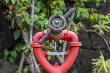 Fire hydrant in the garden