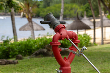 Fire hydrant in the garden