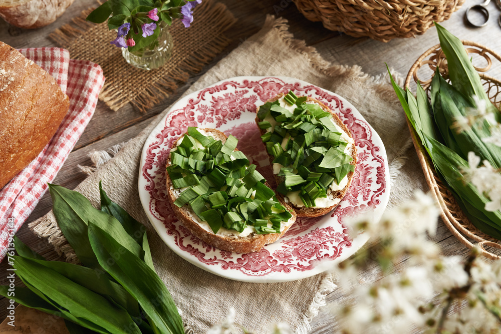 Wall mural fresh wild garlic or ramson leaves on two slices of sourdough bread with butter