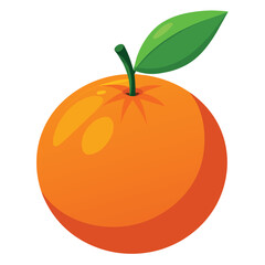 Vector of Orange on white background
