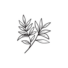 Realistic beautiful tropical branch with leaves black isolated on white background. HAnd drawn vector sketch illustration in vintage doodle engraved line art style. Botanical, floral single drawing